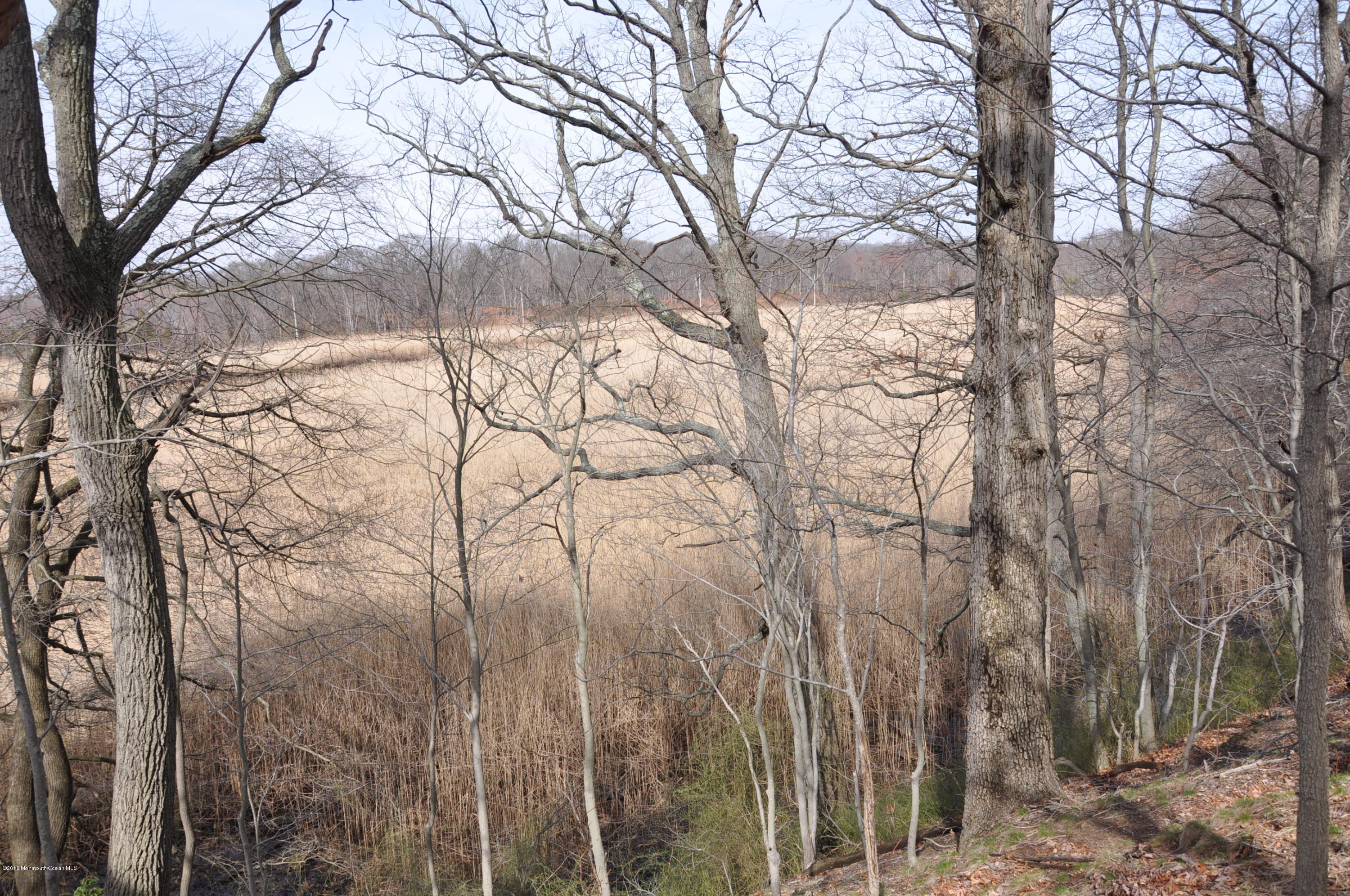 136 Riveredge Road Tinton Falls, NJ 07724 - Photo 32 of 33 DSC_0013