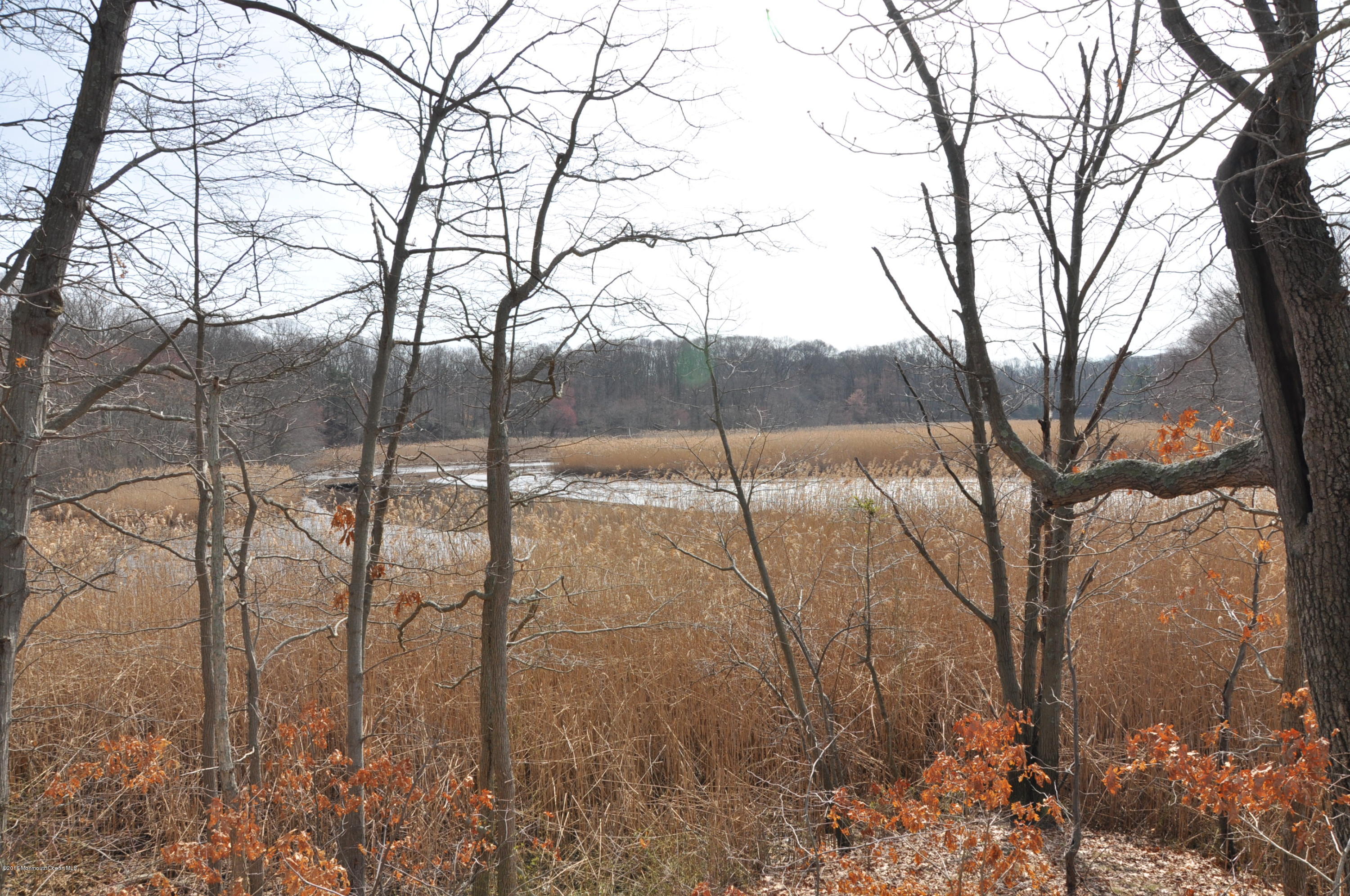 136 Riveredge Road Tinton Falls, NJ 07724 - Photo 33 of 33 DSC_0014