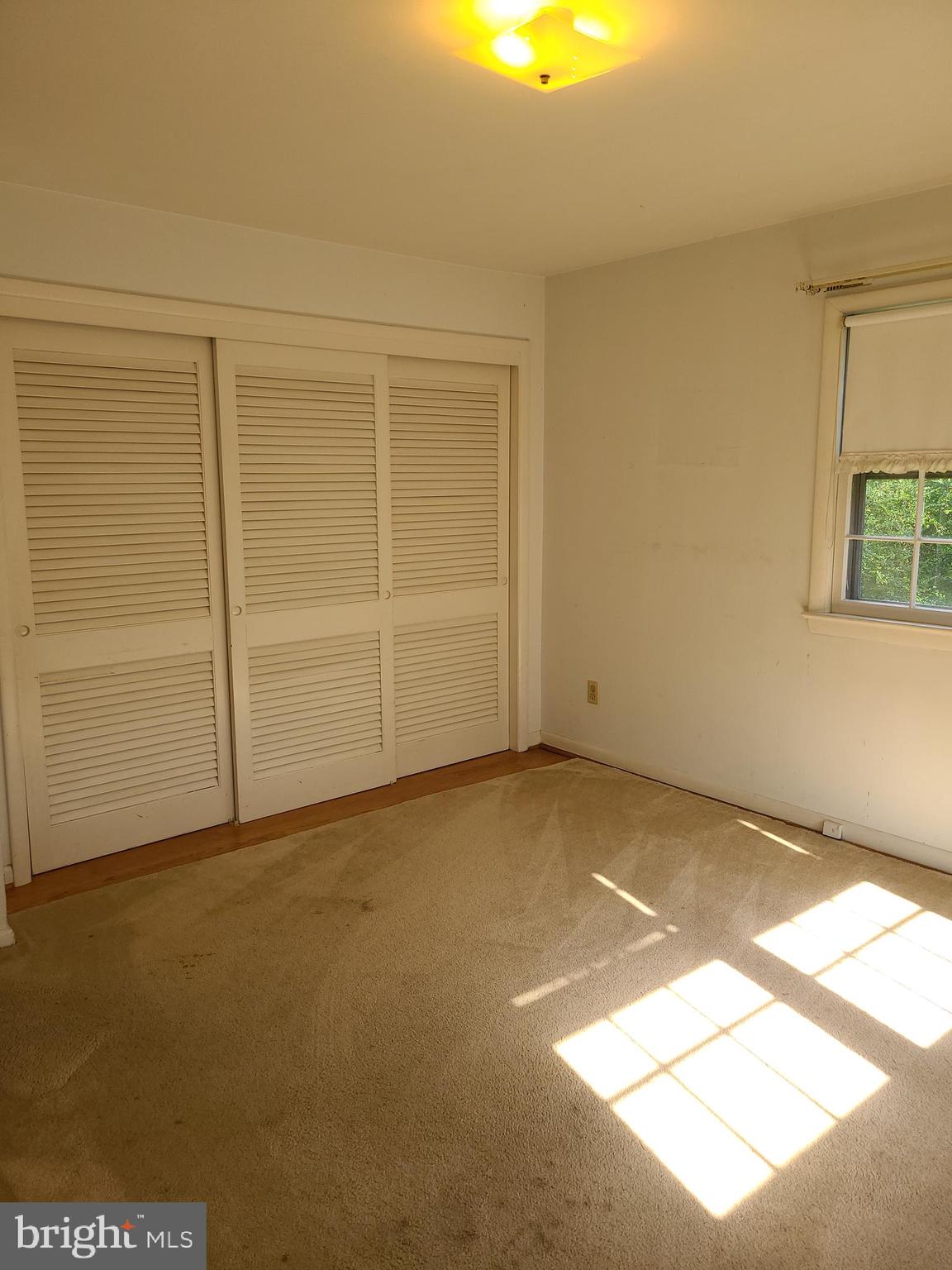 4523 Braddock Road Alexandria, VA 22312 - Photo 22 of 57 Gallery Image 22