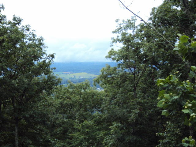 0 Blake Road Buchanan, VA 24066 - Photo 1 of 4 View
