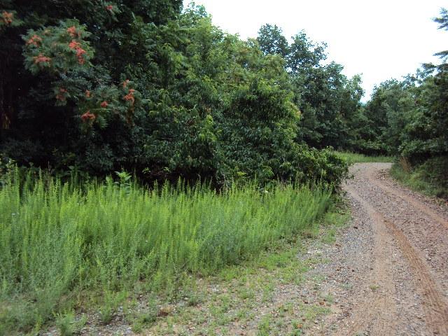 0 Blake Road Buchanan, VA 24066 - Photo 2 of 4 DSC04698