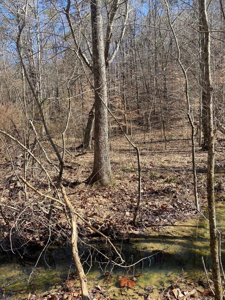 3301 Joppa Mountain Road Rutledge, TN 37861 - Photo 31 of 50 Gallery Image 31