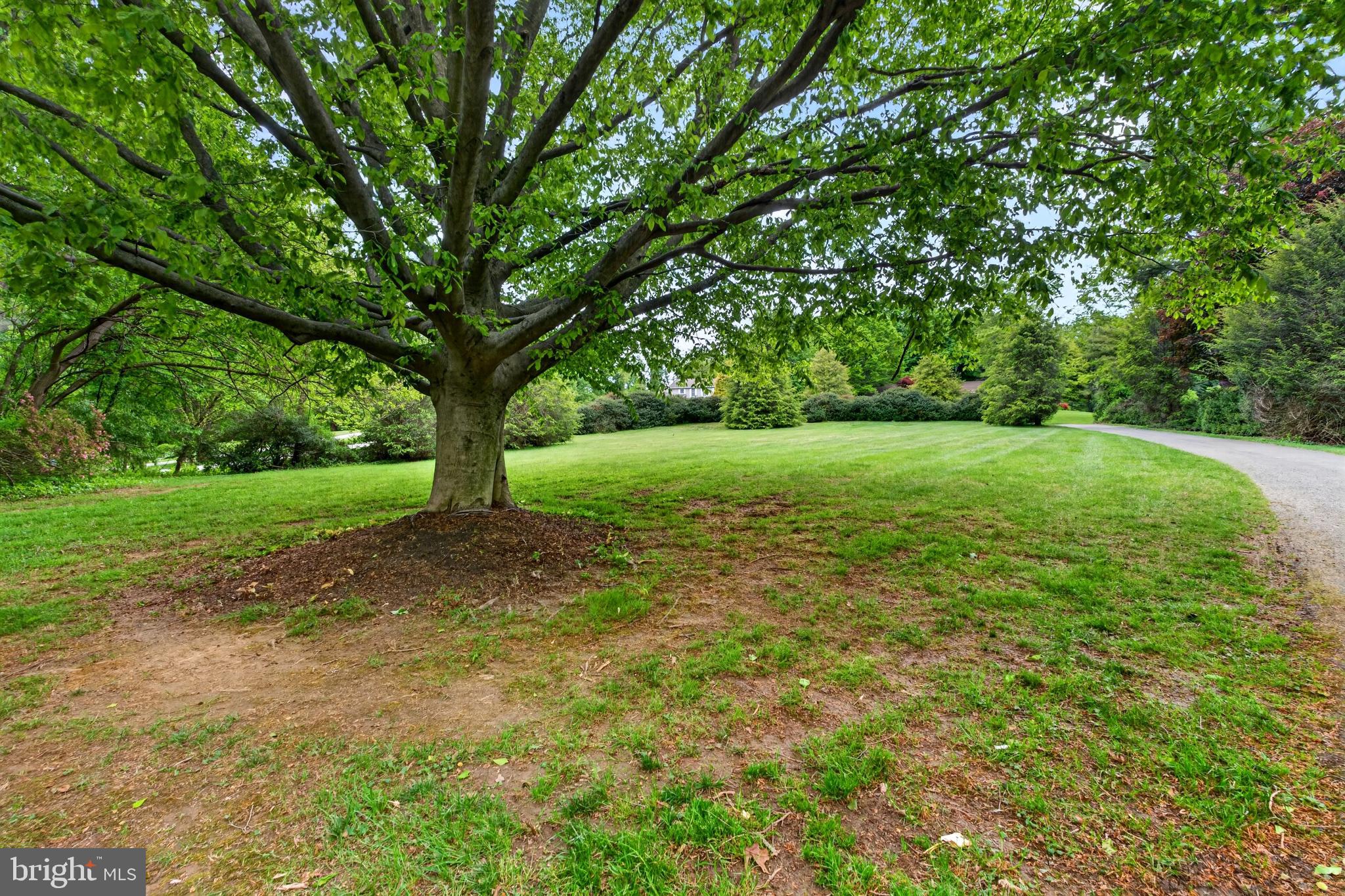 17201 Whiteley Road Monkton, MD 21111 - Photo 41 of 47 a view of outdoor space with trees all around
