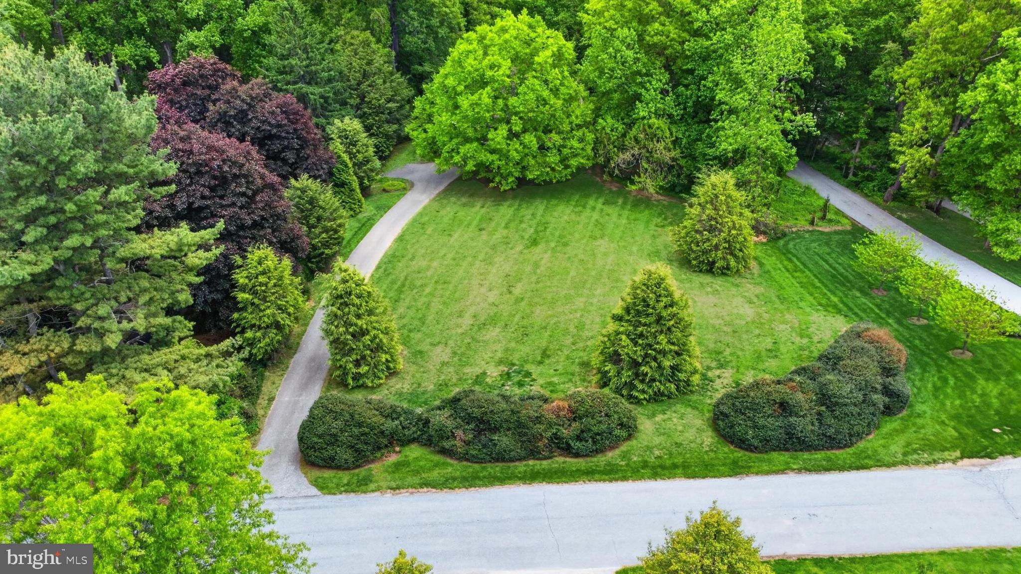 17201 Whiteley Road Monkton, MD 21111 - Photo 6 of 47 a lush green forest with lots of trees