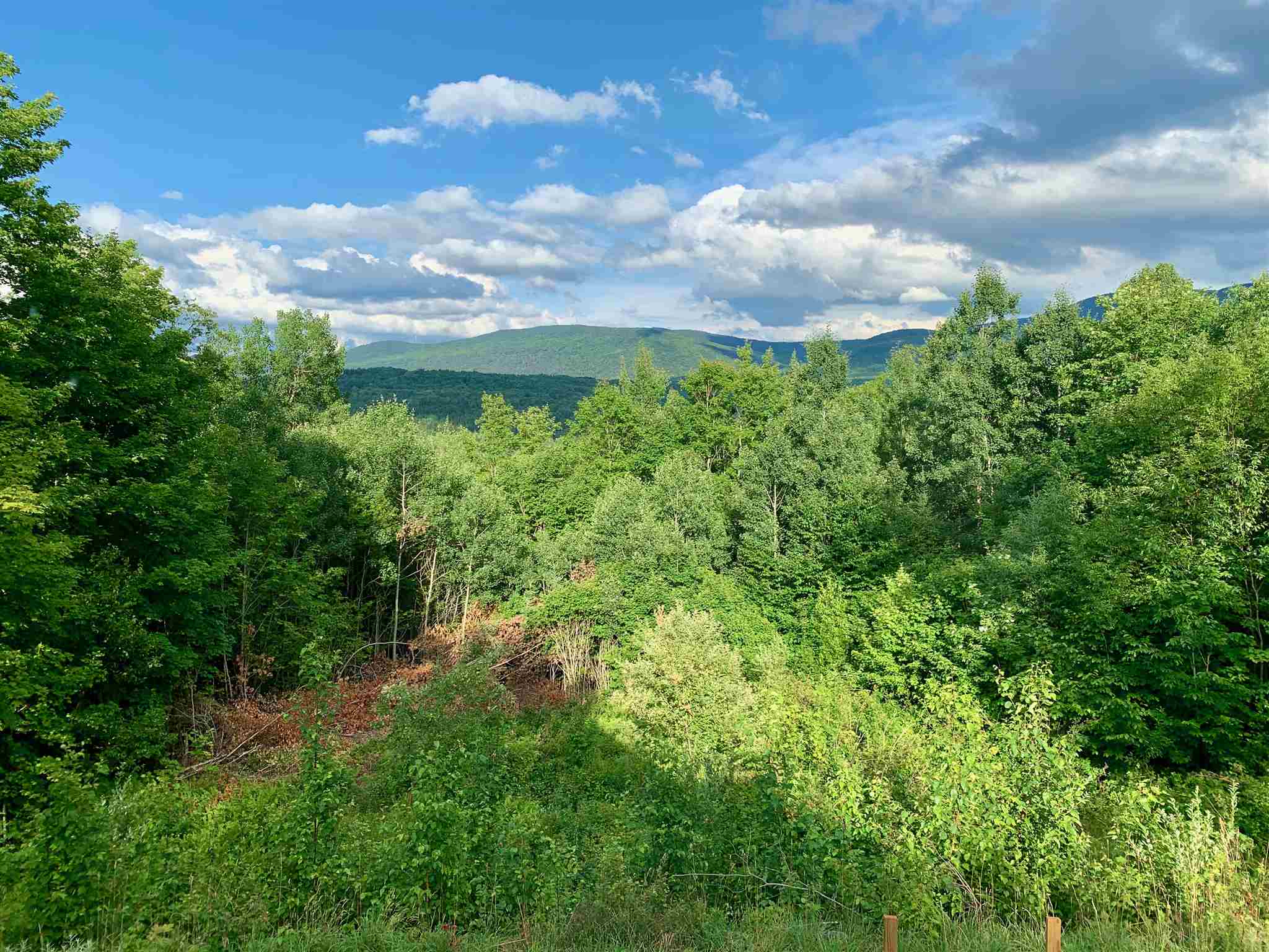 175 Stoddard Road Columbia, NH 03576 - Photo 31 of 39