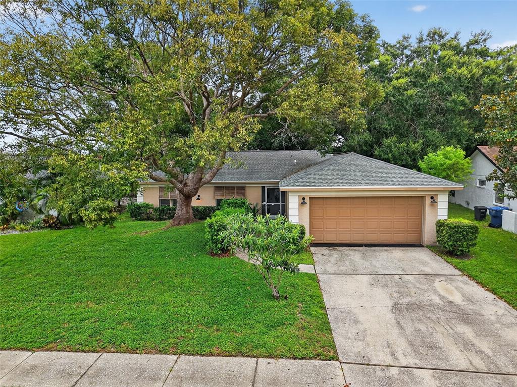 3602 Player Drive New Port Richey, FL 34655 - Photo 2 of 42 front view of a house with a yard