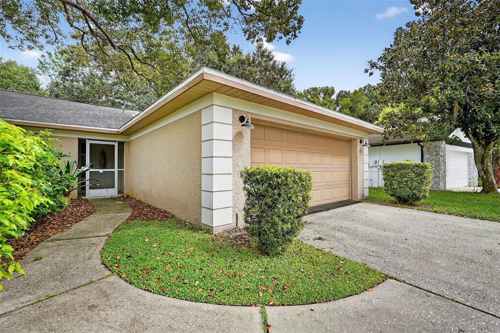 3602 Player Drive New Port Richey, FL 34655 - Photo 3 of 42 a view of a small house with a small yard plants and a large tree