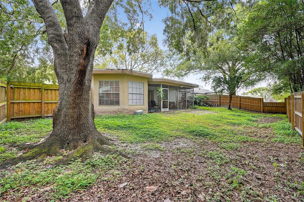 3602 Player Drive New Port Richey, FL 34655 - Photo 36 of 42 a view of a house with yard and a tree