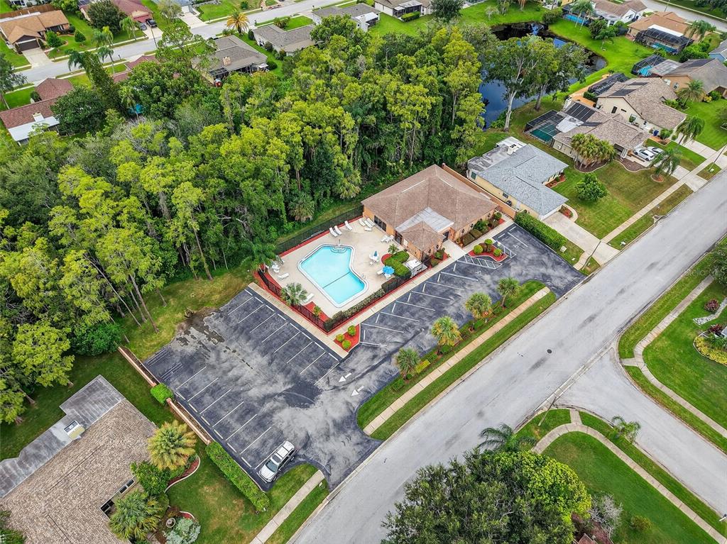 3602 Player Drive New Port Richey, FL 34655 - Photo 39 of 42 a view of a yard with potted plants