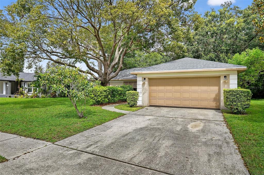 3602 Player Drive New Port Richey, FL 34655 - Photo 4 of 42 a front view of a house with a yard and garage