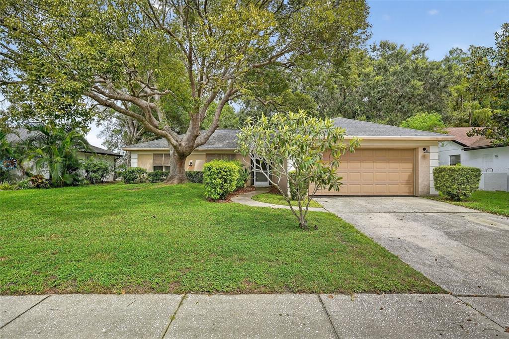 3602 Player Drive New Port Richey, FL 34655 - Photo 5 of 42 front view of a house with a yard