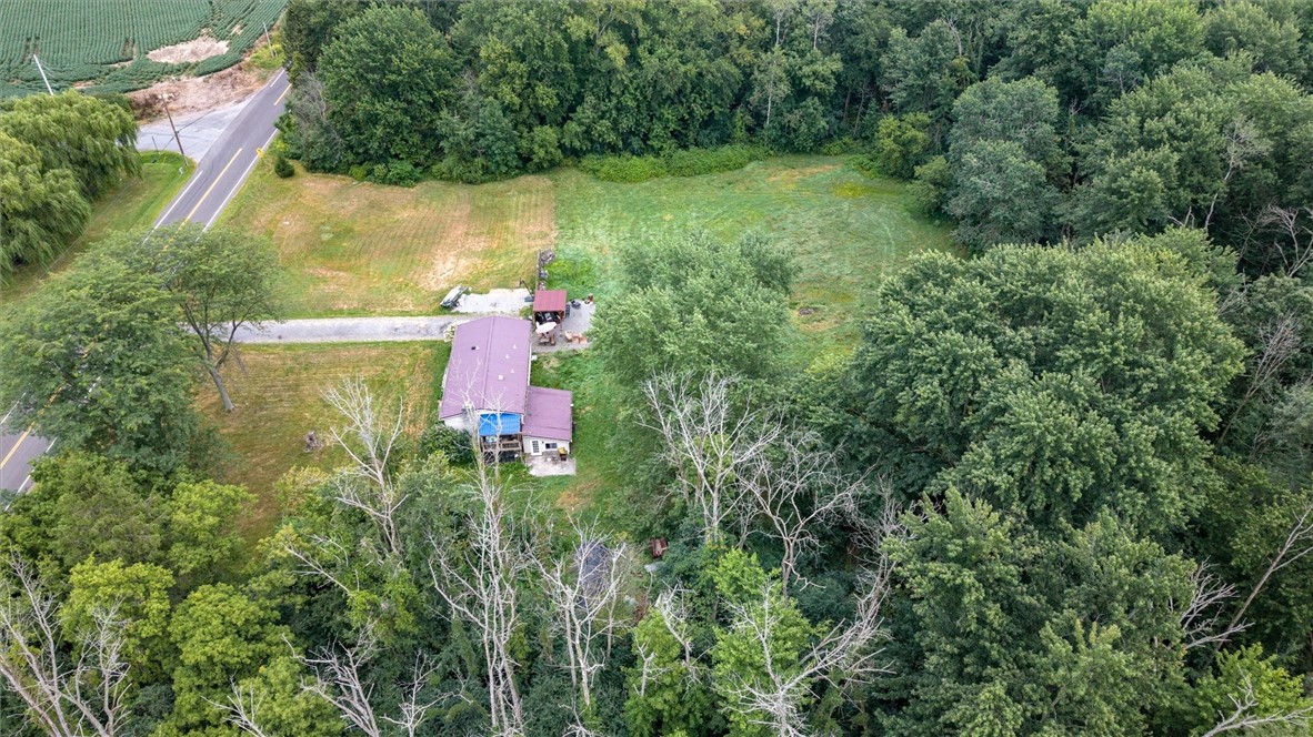 13644 Savannah Spring Lake Road Savannah, NY 13146 - Photo 11 of 38 Gallery Image 11