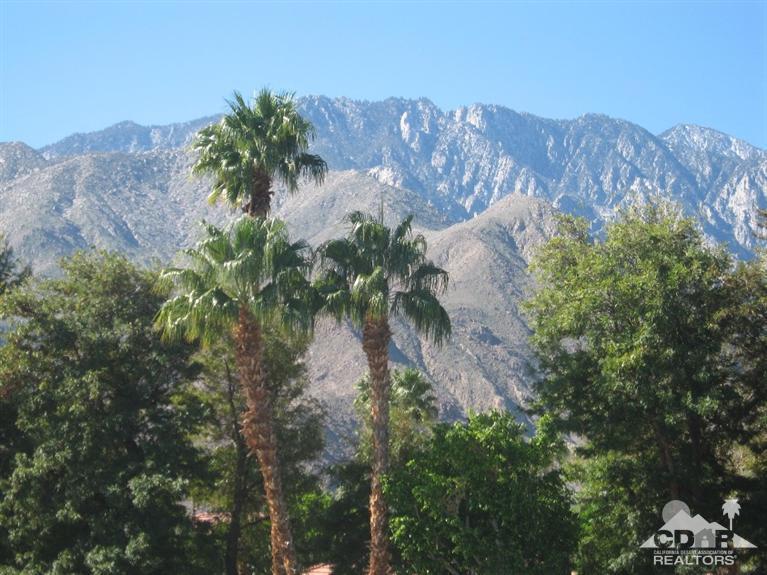 200 East Racquet Club Road, Unit 52 Palm Springs, CA 92262 - Photo 19 of 28 a view of a houses with a lush green forest