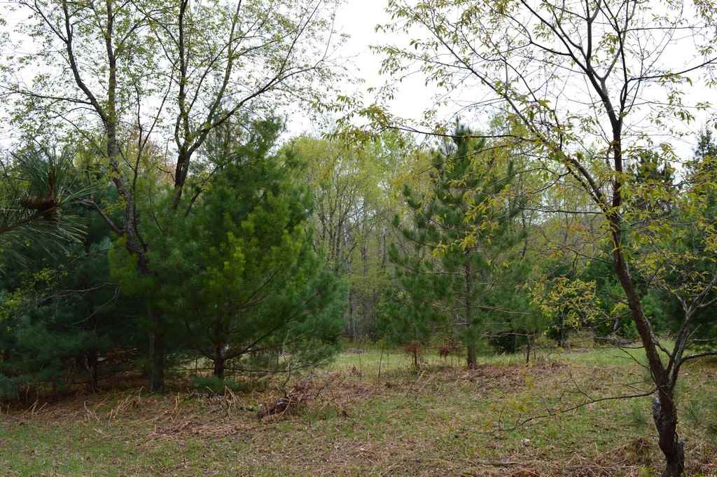 6174 Hart Road South Boardman, MI 49680 - Photo 16 of 41 1846900-15.JPG