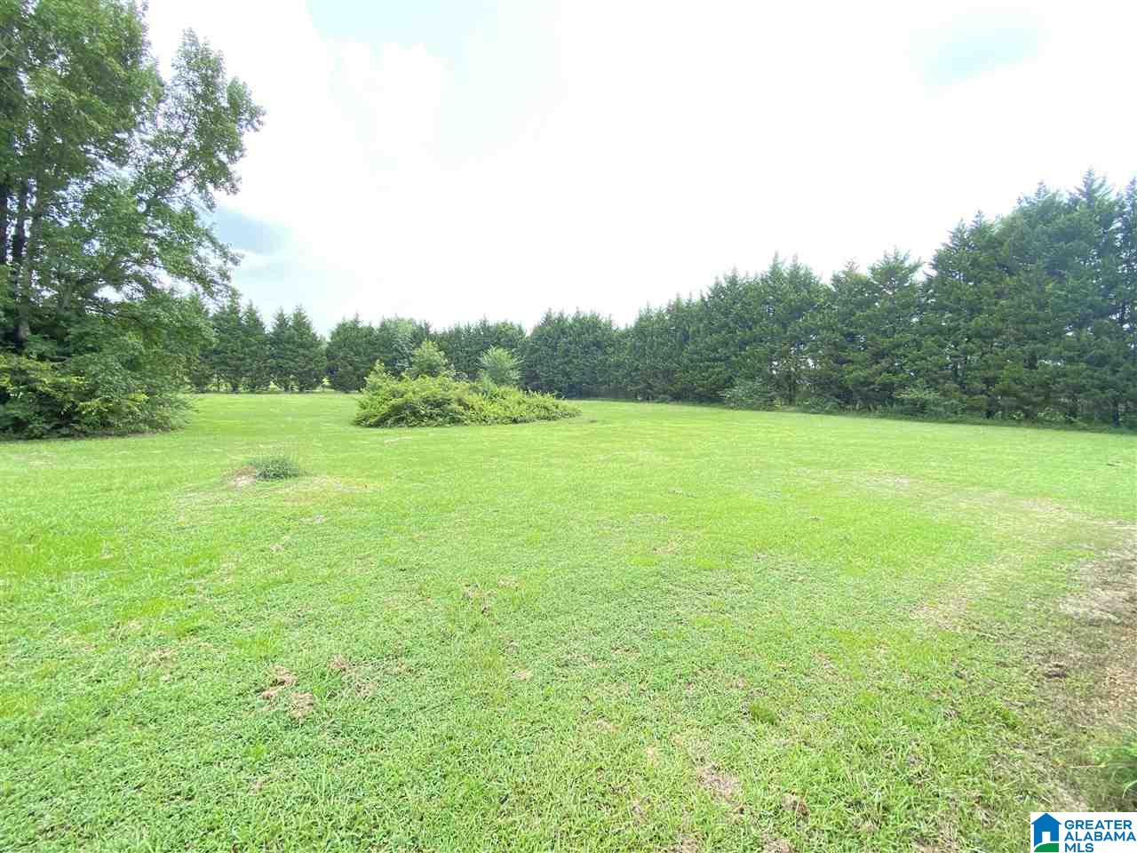 950 Coupland Road Odenville, AL 35120 - Photo 40 of 44