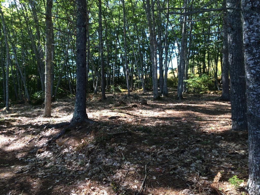 500 Gross Neck Road Waldoboro, ME 04572 - Photo 16 of 18 Photo