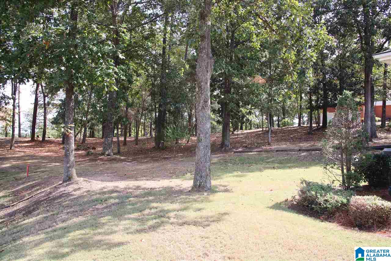 60 Riley Circle Thorsby, AL 35171 - Photo 39 of 40