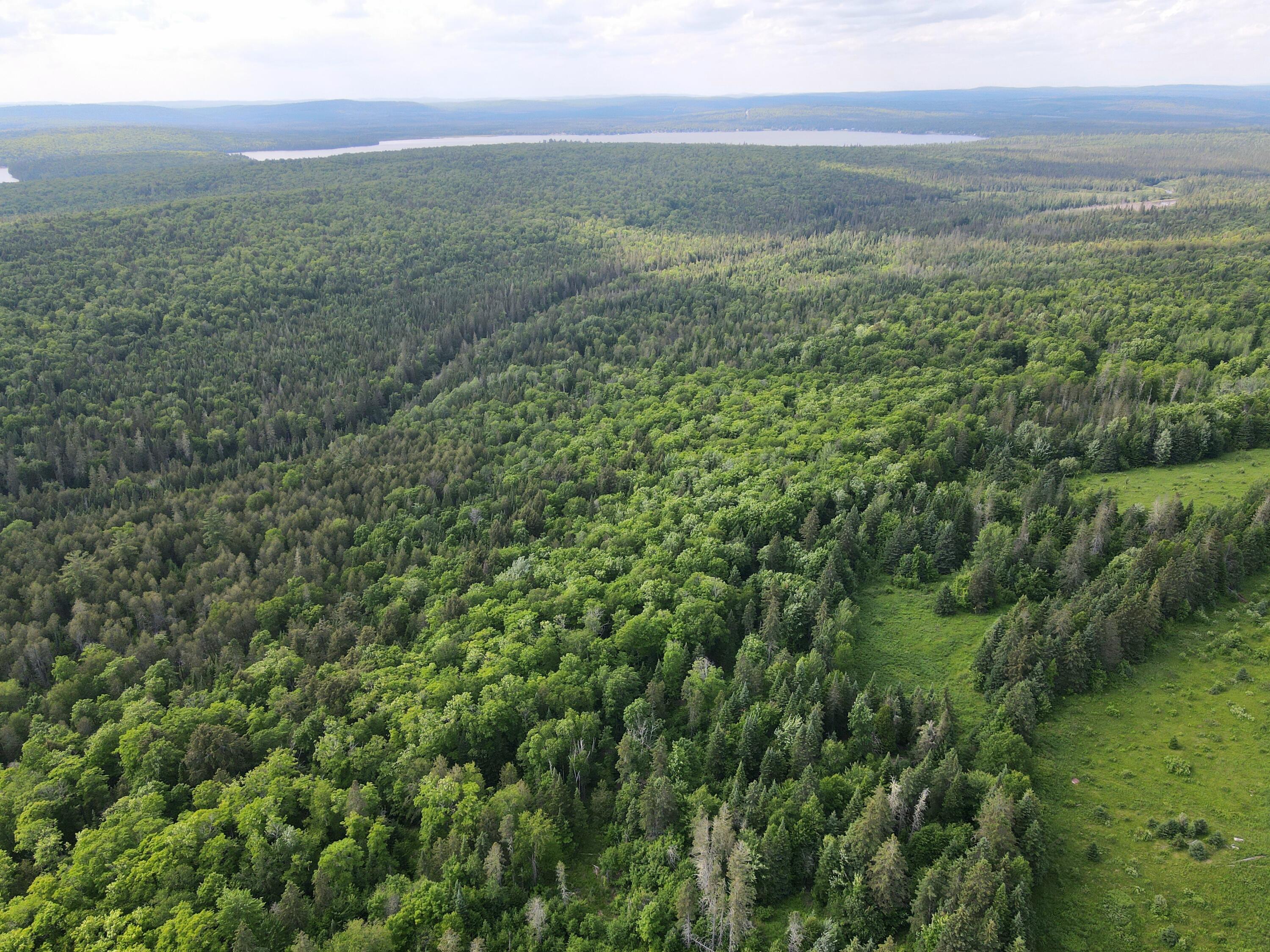940 West Road New Sweden, ME 04762 - Photo 14 of 21 dji_fly_20240613_154340_902_171831294814
