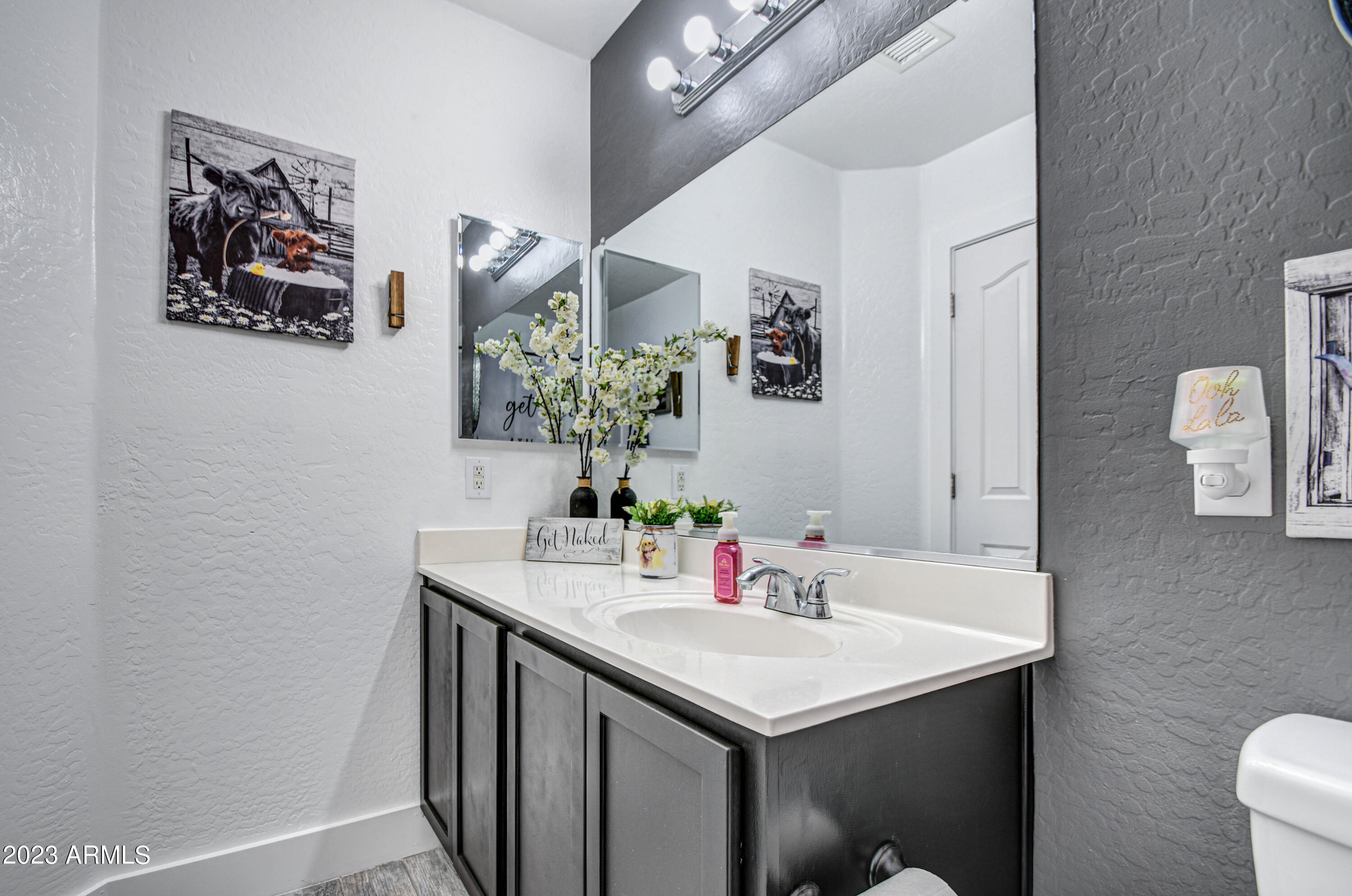3945 East Morenci Road San Tan Valley, AZ 85143 - Photo 30 of 43 Bathroom 2-pic 2
