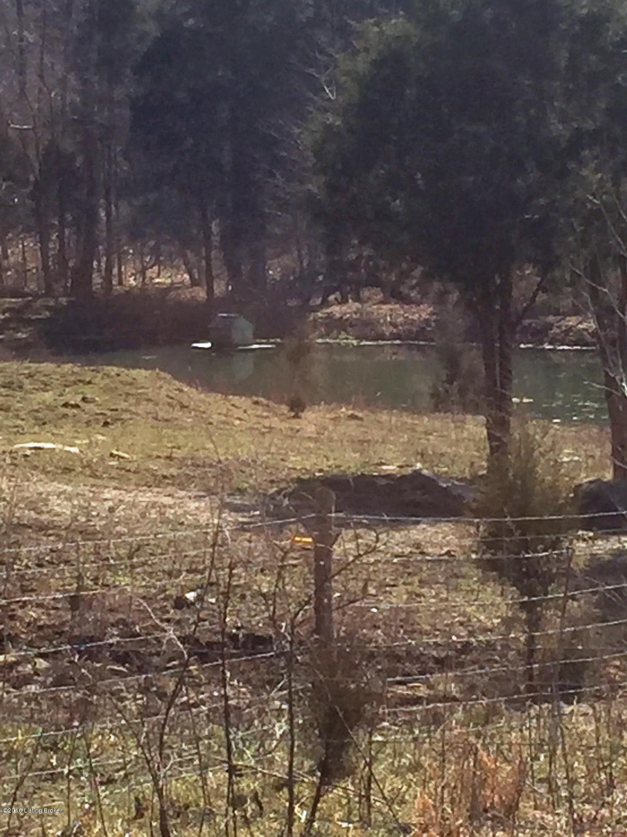 265 Rhodelia Road Payneville, KY 40157 - Photo 23 of 30 IMG_0713