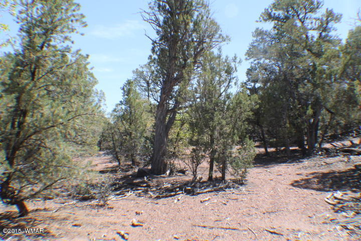 Lot 24 Wilson Road Show Low, AZ 85901 - Photo 11 of 27