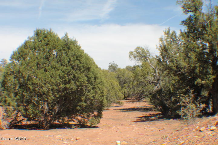 Lot 24 Wilson Road Show Low, AZ 85901 - Photo 12 of 27