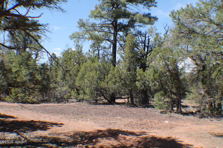 Lot 24 Wilson Road Show Low, AZ 85901 - Photo 13 of 27
