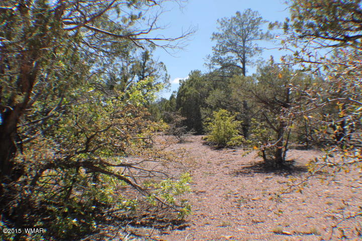 Lot 24 Wilson Road Show Low, AZ 85901 - Photo 14 of 27