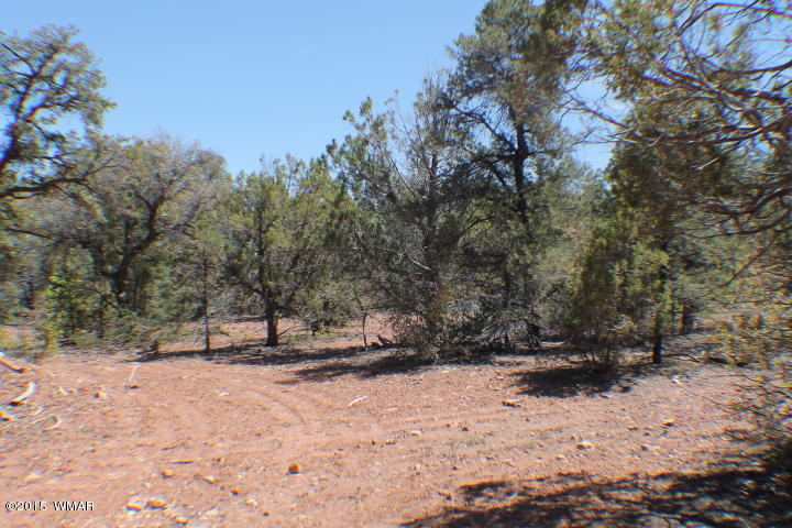 Lot 24 Wilson Road Show Low, AZ 85901 - Photo 15 of 27