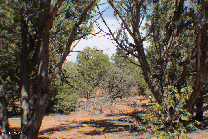 Lot 24 Wilson Road Show Low, AZ 85901 - Photo 16 of 27