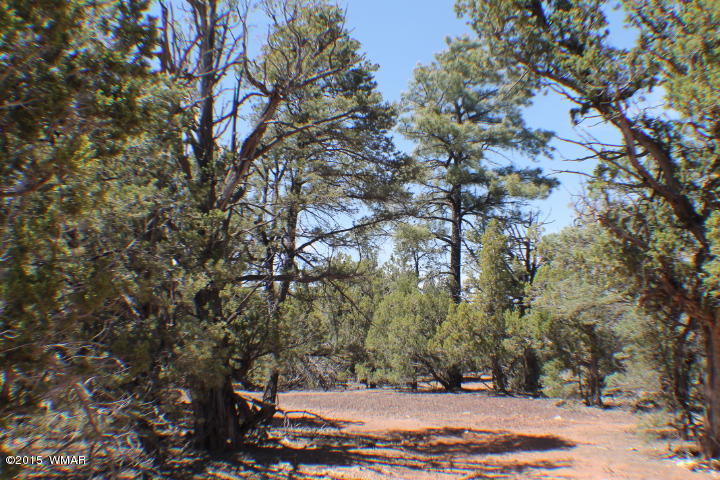 Lot 24 Wilson Road Show Low, AZ 85901 - Photo 17 of 27