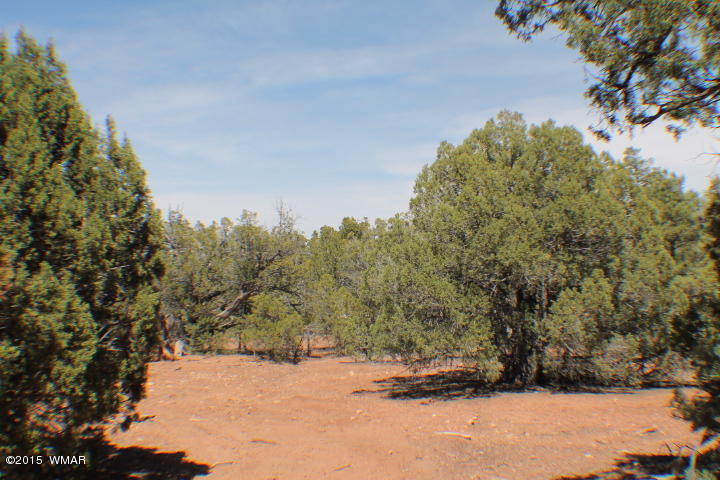 Lot 24 Wilson Road Show Low, AZ 85901 - Photo 18 of 27
