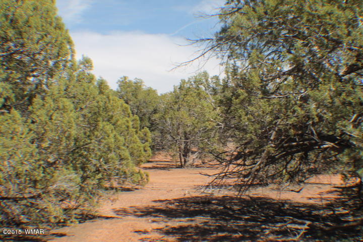 Lot 24 Wilson Road Show Low, AZ 85901 - Photo 20 of 27