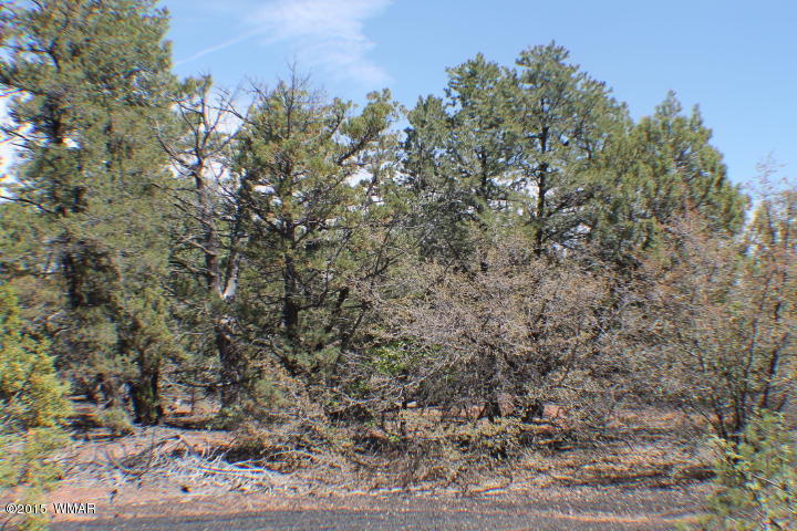 Lot 24 Wilson Road Show Low, AZ 85901 - Photo 2 of 27