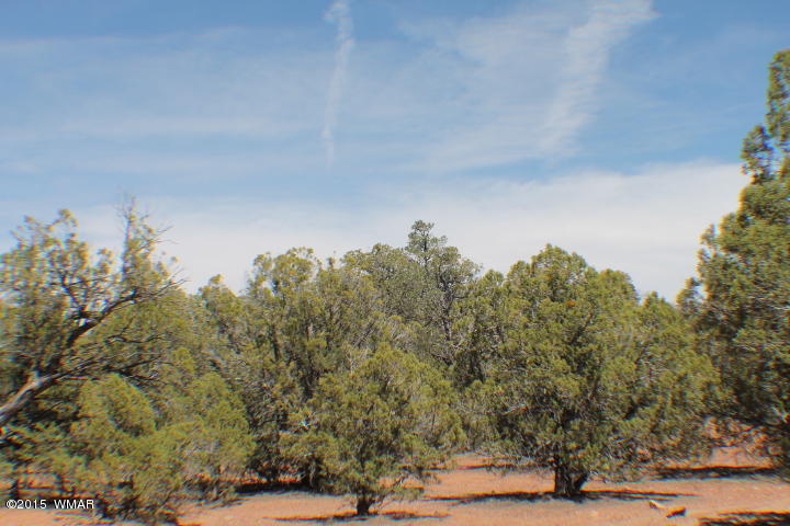 Lot 24 Wilson Road Show Low, AZ 85901 - Photo 22 of 27