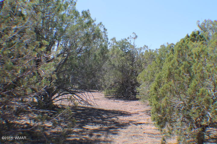 Lot 24 Wilson Road Show Low, AZ 85901 - Photo 23 of 27