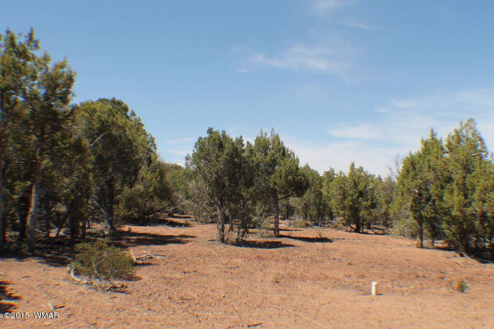 Lot 24 Wilson Road Show Low, AZ 85901 - Photo 24 of 27
