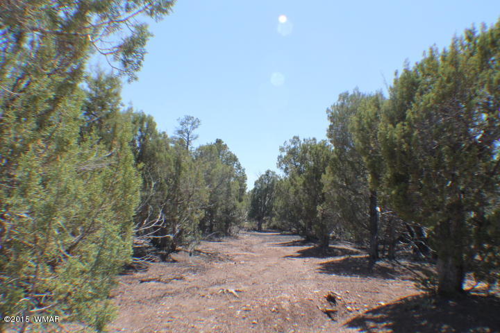 Lot 24 Wilson Road Show Low, AZ 85901 - Photo 25 of 27