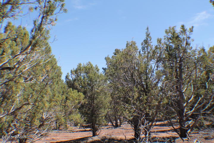 Lot 24 Wilson Road Show Low, AZ 85901 - Photo 26 of 27