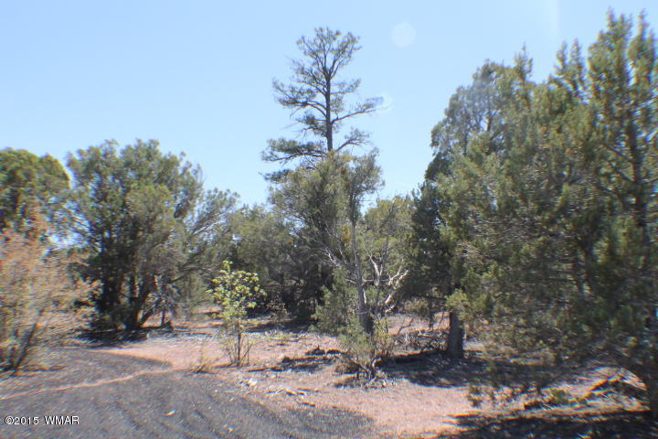 Lot 24 Wilson Road Show Low, AZ 85901 - Photo 27 of 27