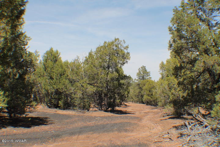 Lot 24 Wilson Road Show Low, AZ 85901 - Photo 3 of 27