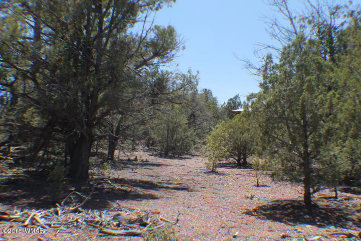 Lot 24 Wilson Road Show Low, AZ 85901 - Photo 4 of 27