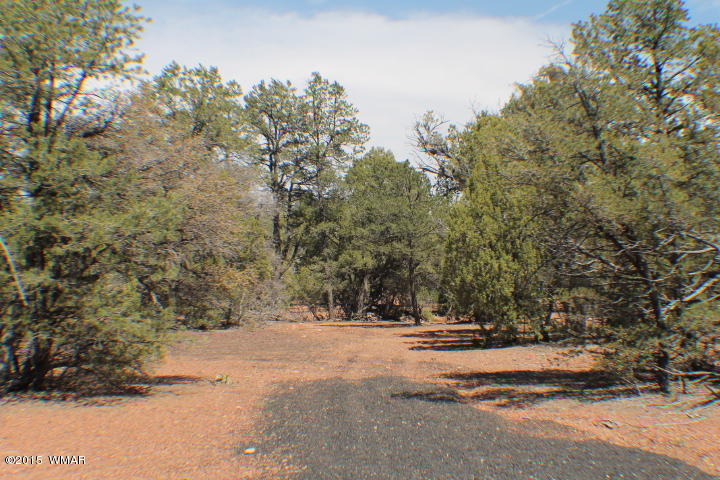 Lot 24 Wilson Road Show Low, AZ 85901 - Photo 5 of 27