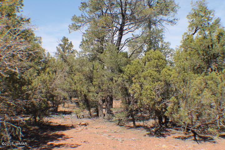 Lot 24 Wilson Road Show Low, AZ 85901 - Photo 7 of 27