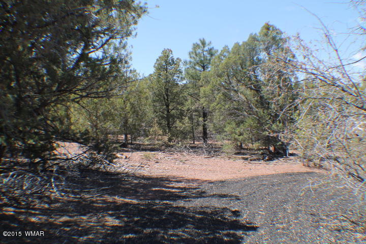 Lot 24 Wilson Road Show Low, AZ 85901 - Photo 8 of 27