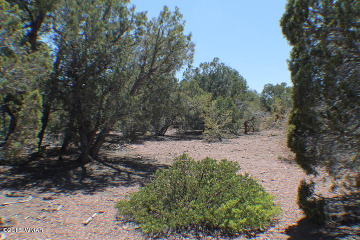 Lot 24 Wilson Road Show Low, AZ 85901 - Photo 9 of 27