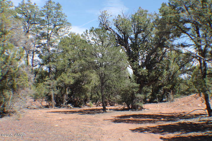 Lot 24 Wilson Road Show Low, AZ 85901 - Photo 10 of 27