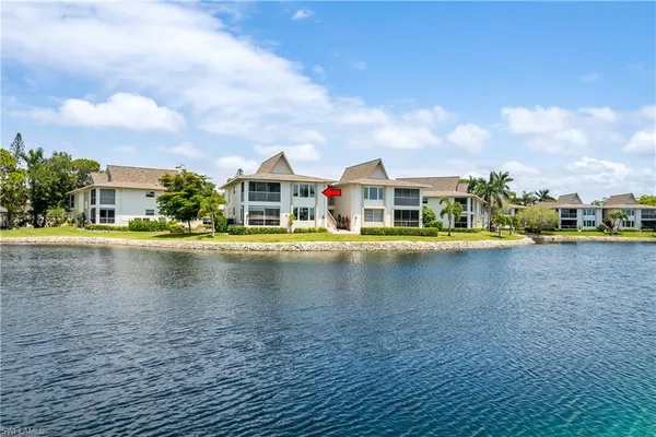 a view of a lake with a palm trees
