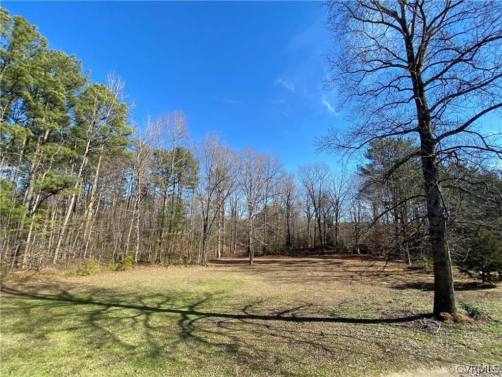 14619 Gatewood Road Dewitt, VA 23840 - Photo 10 of 14 a view of yard