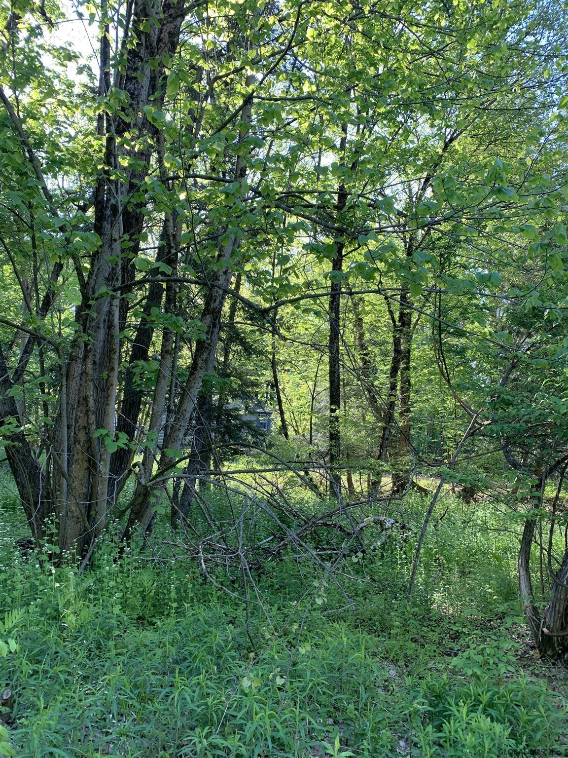20 Greenfield Manor Road Greenfield, NY 12859 - Photo 24 of 41 Photo 24